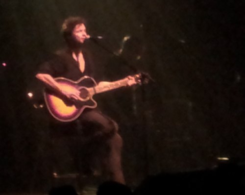 Photo de Bertrand Cantat chanteur de Noir Désir